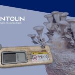 Antolin Develops a Structural Material…