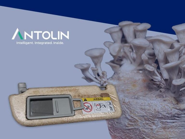 Antolin material mycelium vehicle
