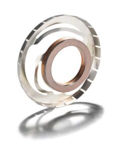 Schunk Carbon Technology Axial Grounding Ring (AGR)