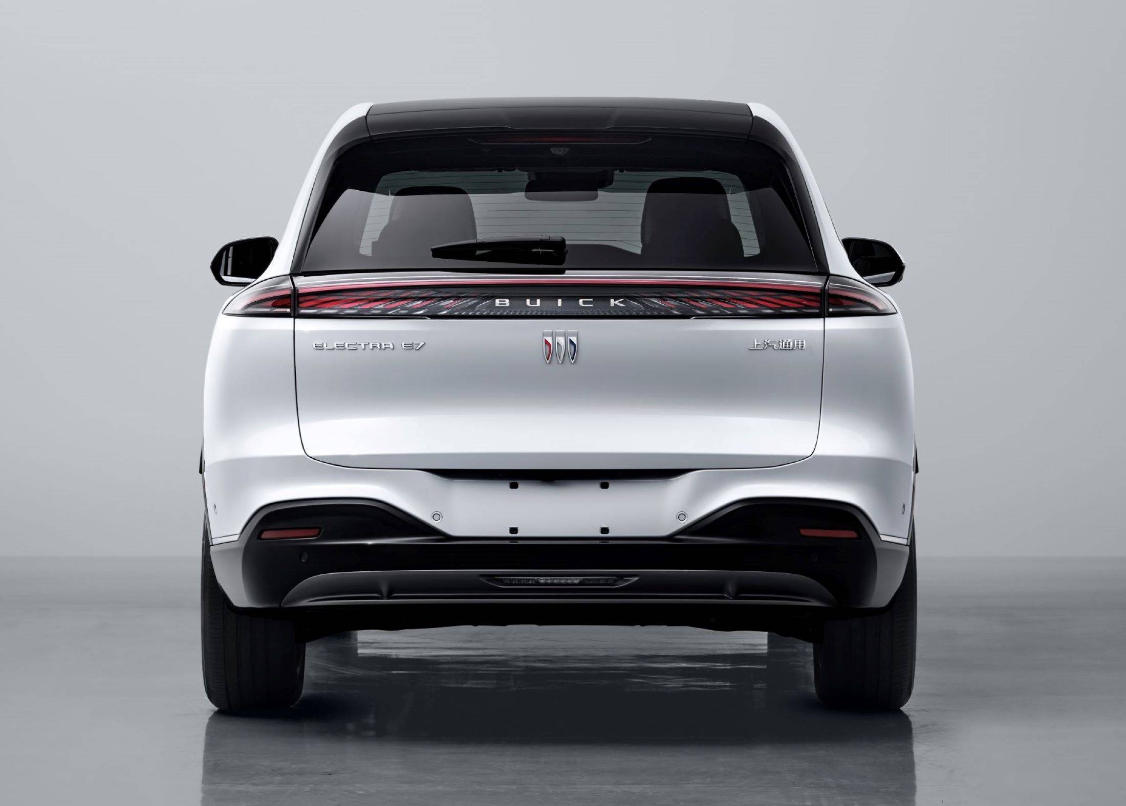 Buick ELECTRA E7 rear