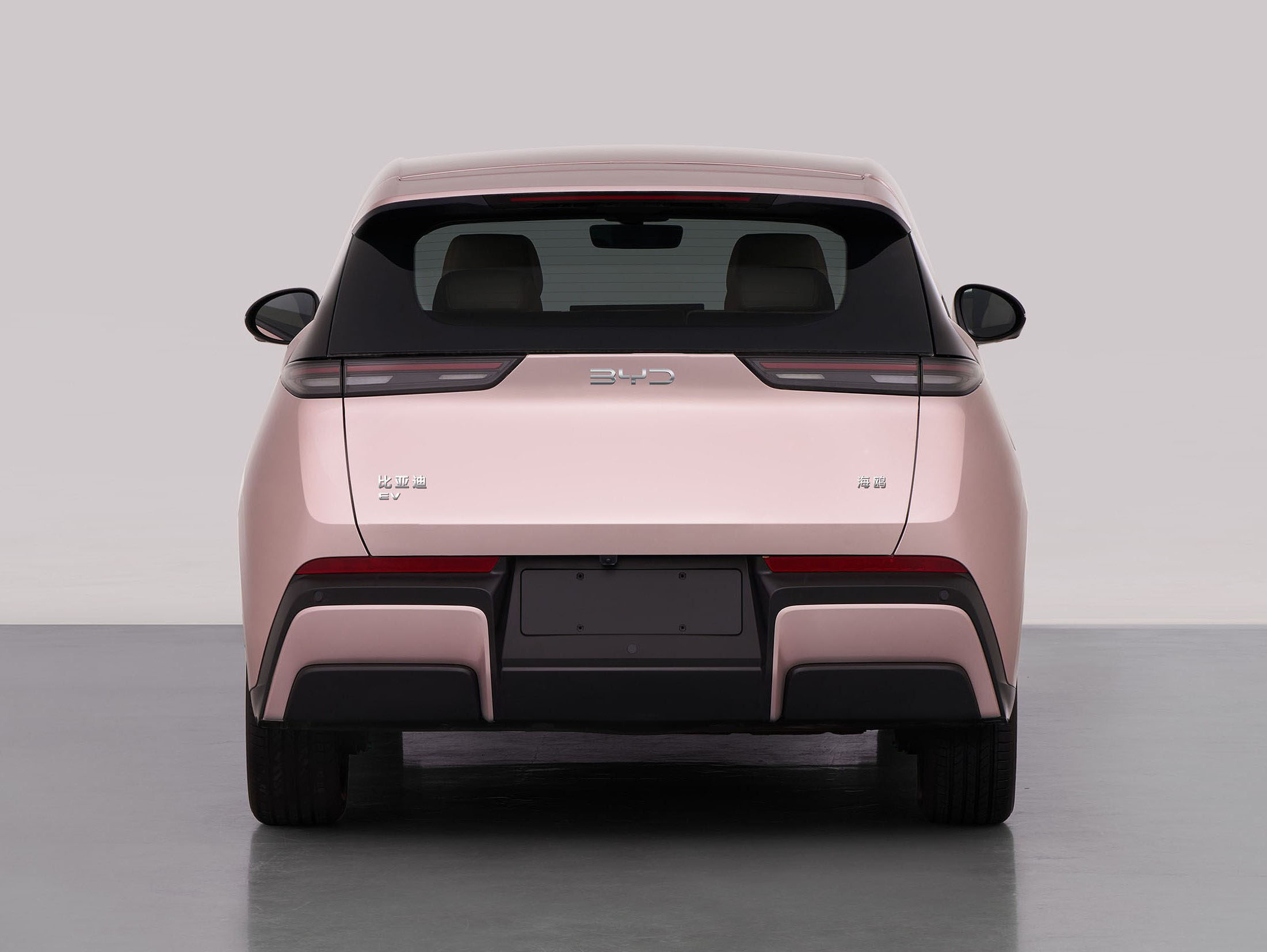 BYD Seagull rear